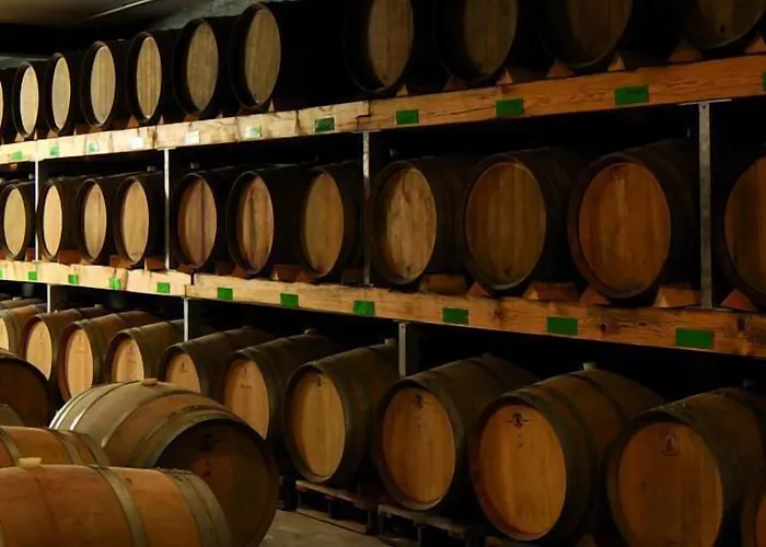 Consulat Des Weins Hotel Sankt Martin