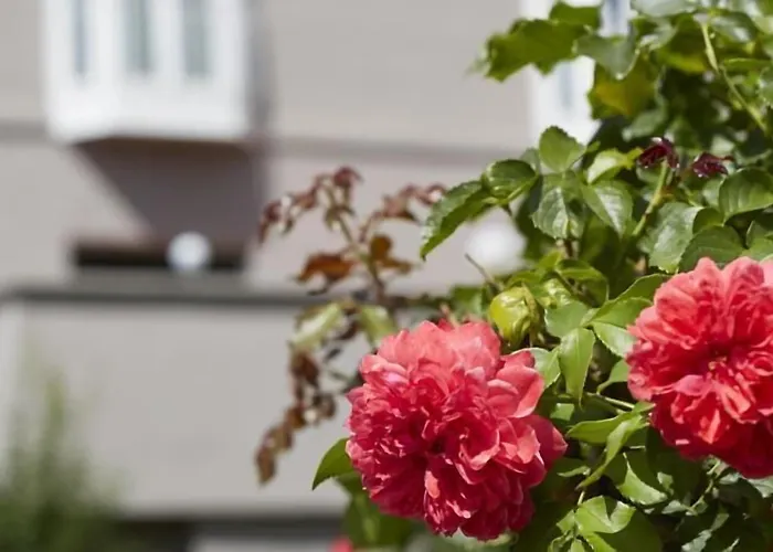 Consulat Des Weins 4* Sankt Martin