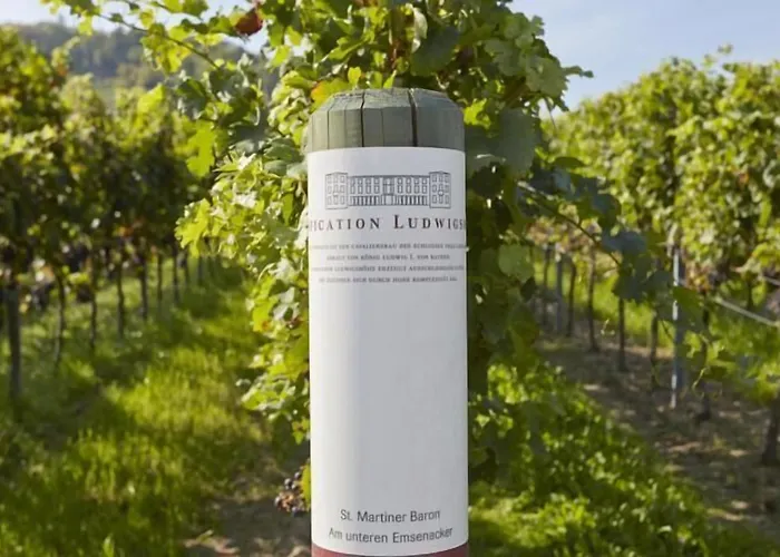 Consulat Des Weins Hotel 4*